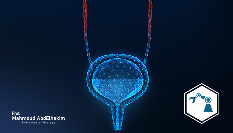 Robotic ureteral re-implantation