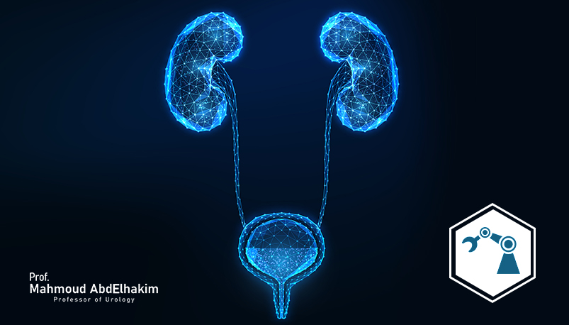 Robotic surgery of urological tumors