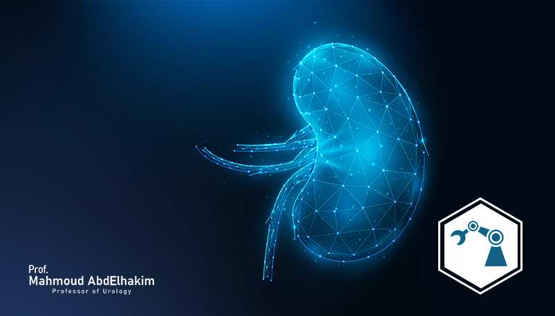 Robotic plastic repair of the renal pelvis 